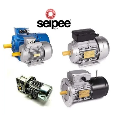 Seipee 080350415X COPRIVENTOLA PER MOTORE JM/JMM100