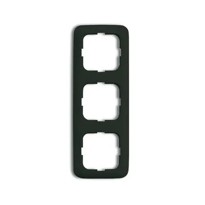 Busch-Jaeger 2513-215