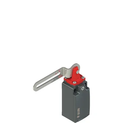 Pizzato FM 5C3-M2 Safety switch with slotted hole lever