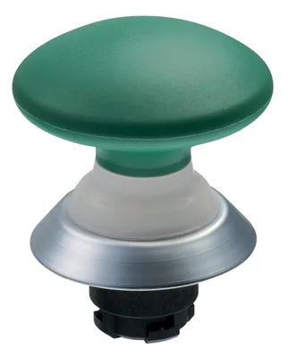 Schmersal NDP50GN