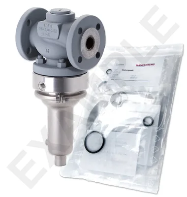 Mankenberg 66180388A     WS Maintenance Kit WS/DM618-80-FA13-40-D054-90-CS-EE-N |