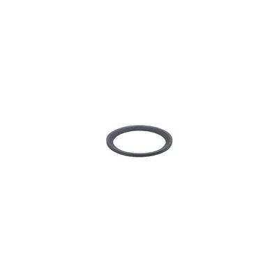 IFM SEAL RING FFKM G1/2 Conta