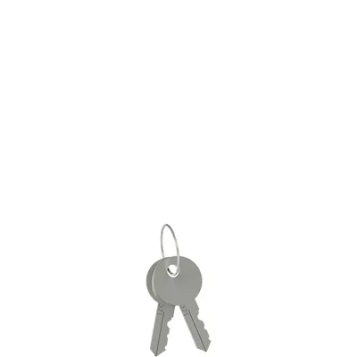 Pizzato VF KLA371 Unlocking key pair