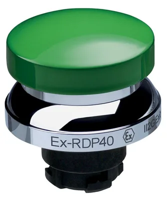 Schmersal EX-RDP40GN
