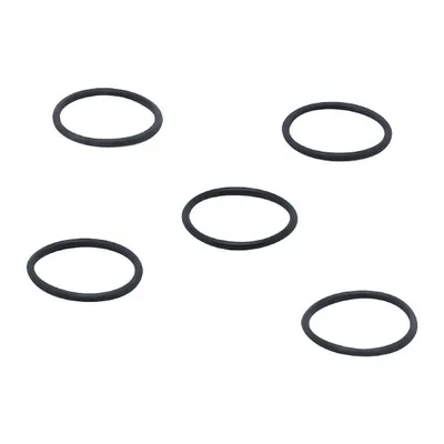 IFM O-RG 24,00X2,00/FPM 5 PIECE O-Ring