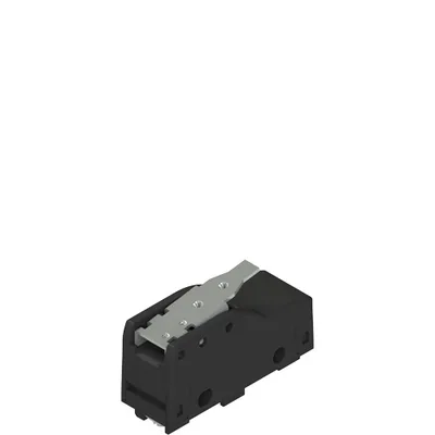 Pizzato MK V11D31 Microswitch with short lever