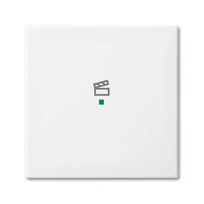 Busch-Jaeger 6233-10-914