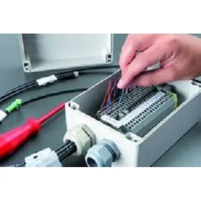 Bernstein GEH.CA-020 P