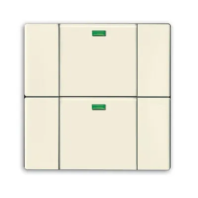 Busch-Jaeger 6732-82