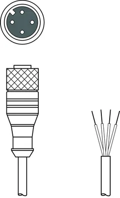 Leuze CB-M12-10000E-4GF-PUR Bağlantı kablosu