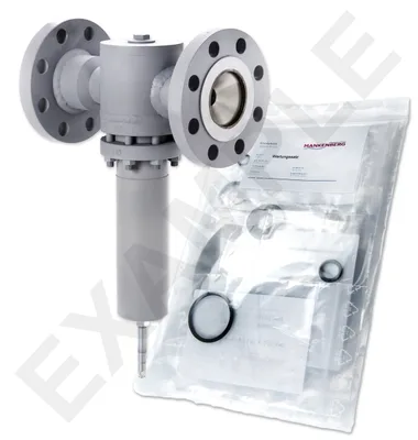 Mankenberg 6621408TA-1   WS Maintenance Kit WS/DM620-50-FA34-250-D083-10-V1-FF-E80 |