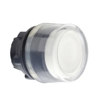 Schneider Electric ZB5AP183