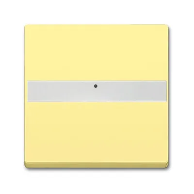 Busch-Jaeger 1764 NLI-815