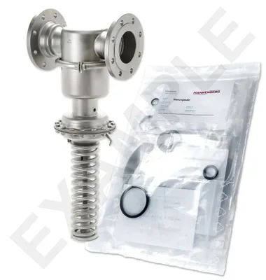 Mankenberg 6590206TA-2   WS Maintenance Kit WS/DM664-100-FA02-16-D031-50-V1-EE-E77 |