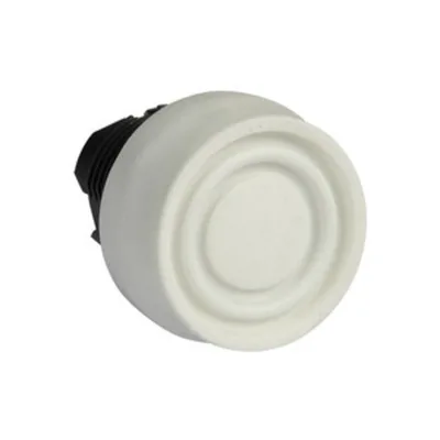 Schneider Electric ZB5AP1S