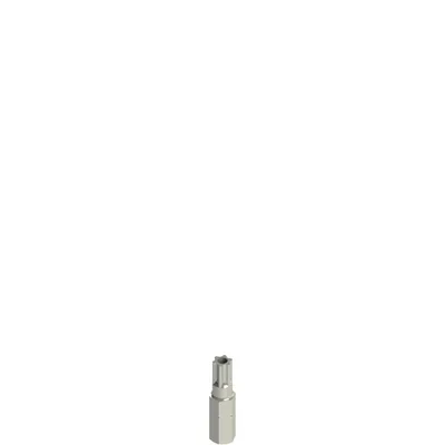 Pizzato VF VAIT1T30 Safety screws bits