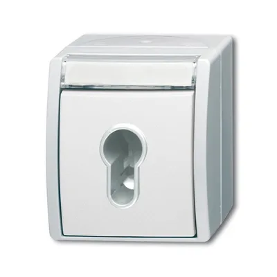 Busch-Jaeger 2733 SLW-54