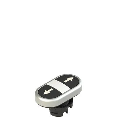 Pizzato E2 1PDRL9AAAB Double lower flush pushbutton, with marking
