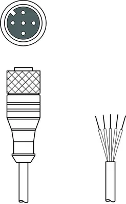 Leuze KD S-M12-5A-P1-150 Bağlantı kablosu