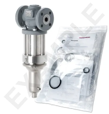 Mankenberg 6618166BA     WS Maintenance Kit WS/DM618Z-32-FA13-40-D060-16-CS-YE-N |