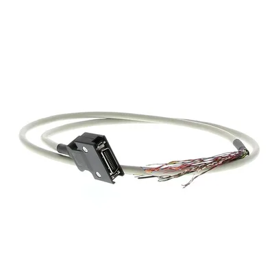 Omron R88A-CPKB002S-E