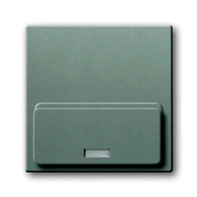Busch-Jaeger 8254-803