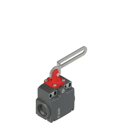 Pizzato FX 5C1-M2 Safety switch with slotted hole lever