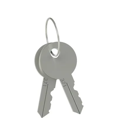 Pizzato VF KLB300 Set of two locking keys