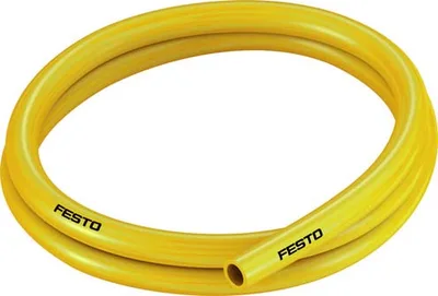 558304