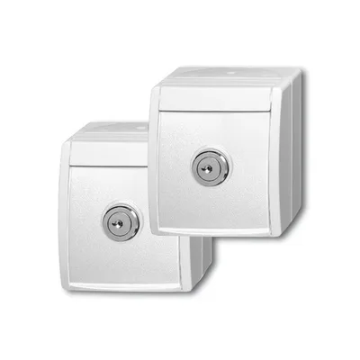 Busch-Jaeger 20/20 EWSL-54