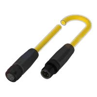 Balluff BCC W415-W414-3A-304-NW44T2-003
