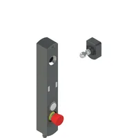 Pizzato NS D4AZ1SRK-F41N113