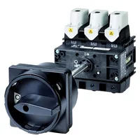 Eaton Electric P5-250/V/SVB-SW