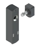 Leuze L250-P41ML-M12B8-UCA
