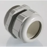 Pflitsch 25056u32
