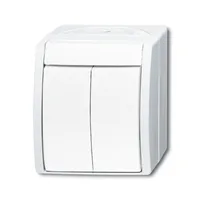 Busch-Jaeger 2601/5 W-54