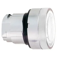 Schneider Electric ZB4BW31S