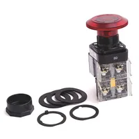 Allen Bradley 800H-FRXJTQH2RA5