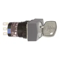 Schneider Electric XB6EDG222P