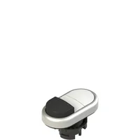 Pizzato E2 1PDSL90221