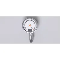 Ifm Electronic PG-025-REB12-MFRKG/US/      /P
