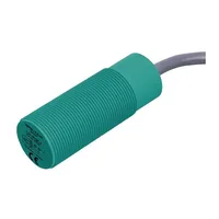 Pepperl+Fuchs NBB15-30GK-WS