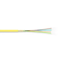 Corning 004T8Z-32198E2G