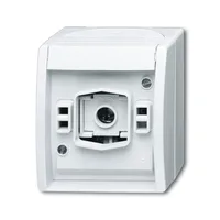 Busch-Jaeger 2661 W-54