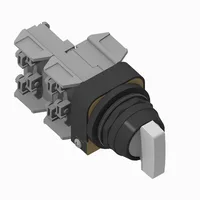 Allen Bradley 800H-2HRWH17KB6TT