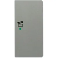 Busch-Jaeger 6233-22-803