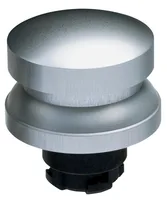 Schmersal RDP40WS