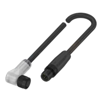Balluff BCC W425-W414-3A-650-TW0434-050