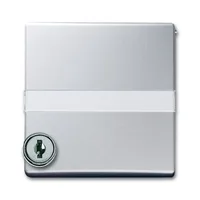Busch-Jaeger 2118 GKSLN/11-33