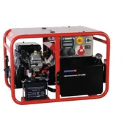 Endress ESE 1006 DBS-GT